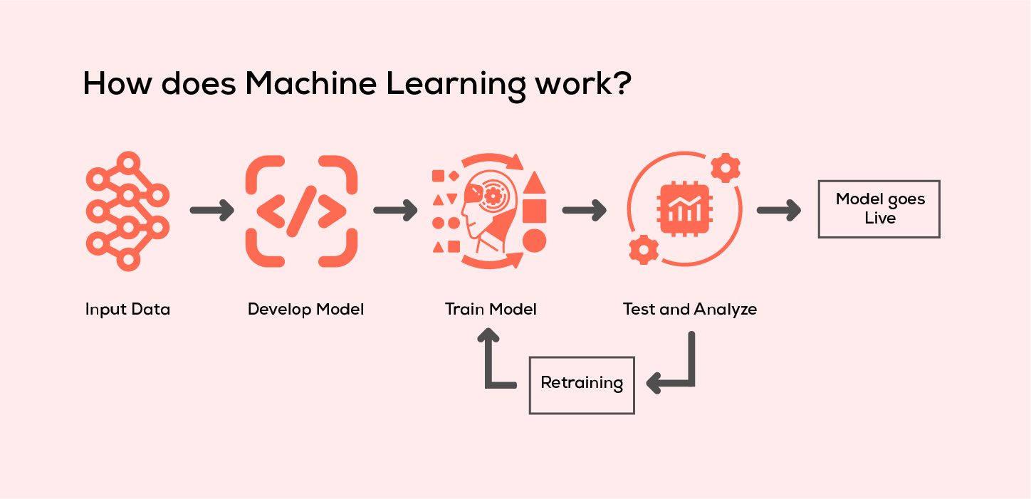 How the machine learning process works