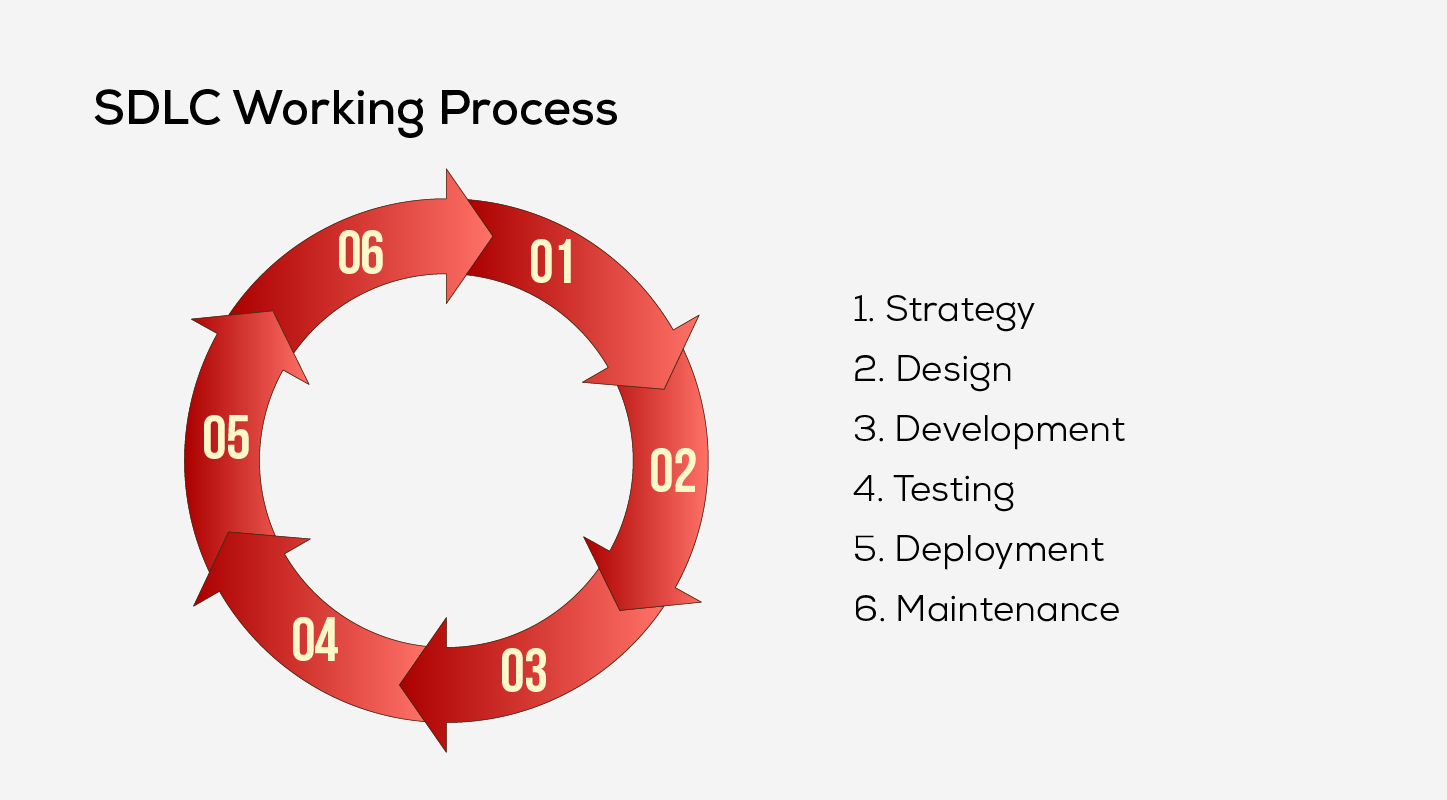 SDLC Working Process