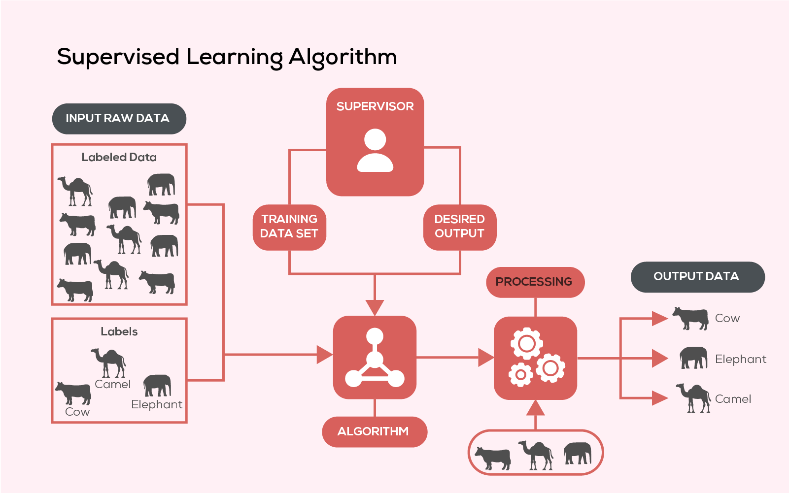 Supervised Learning Algorithm